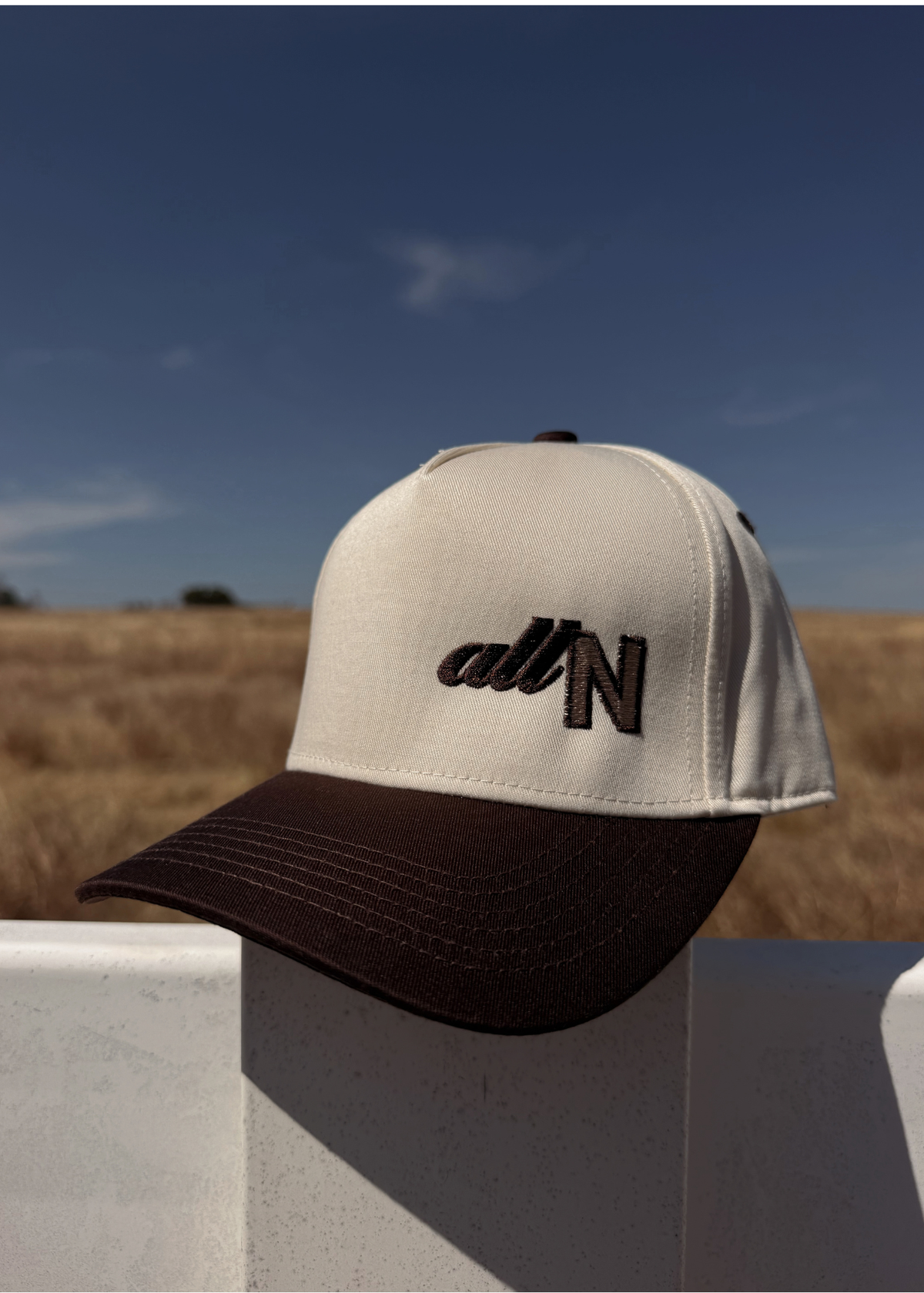 5-panel Embroidered Snapback