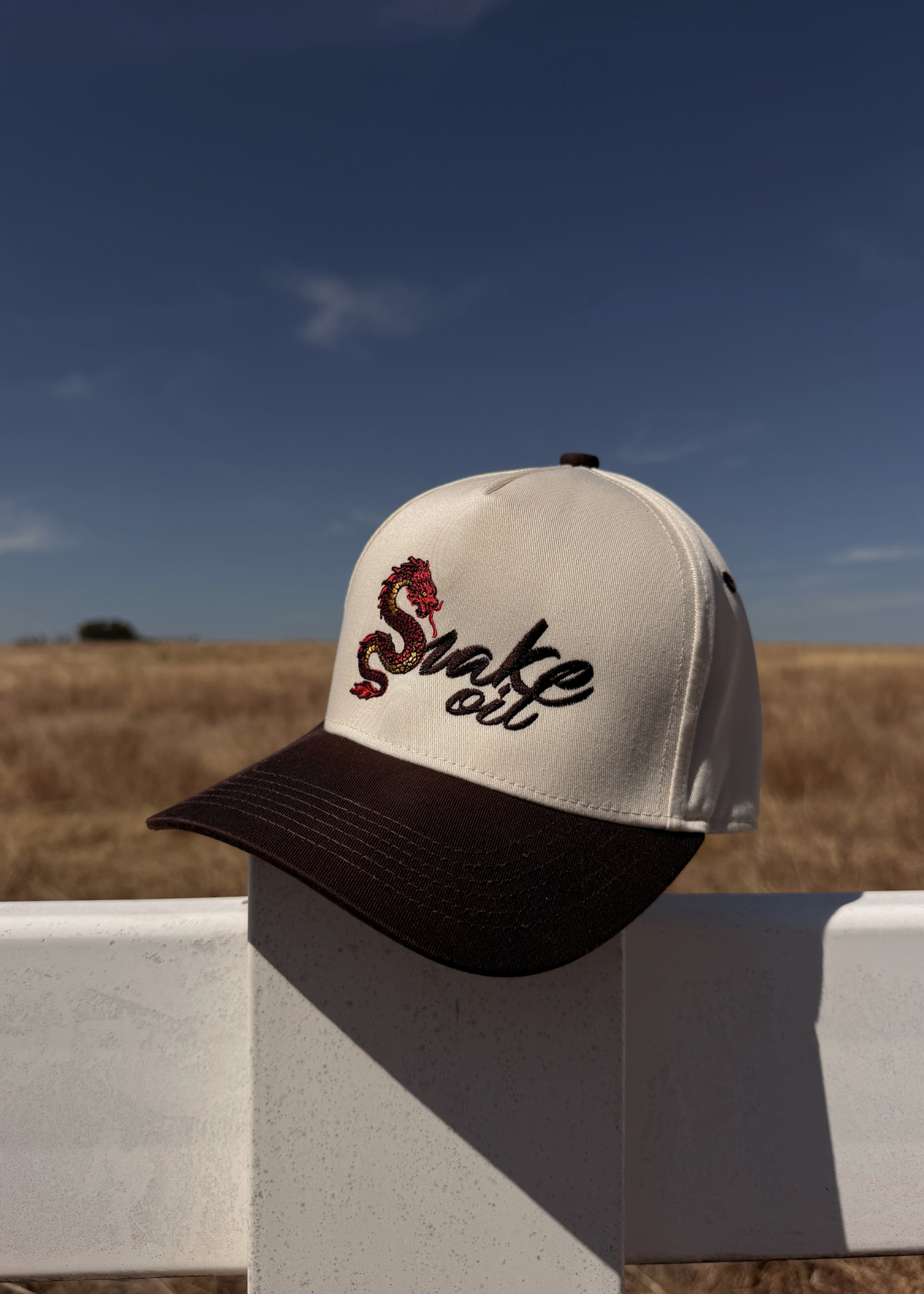 5-panel Embroidered Snapback
