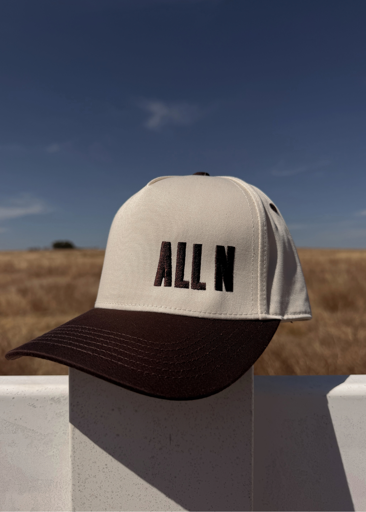 5-panel Embroidered Snapback
