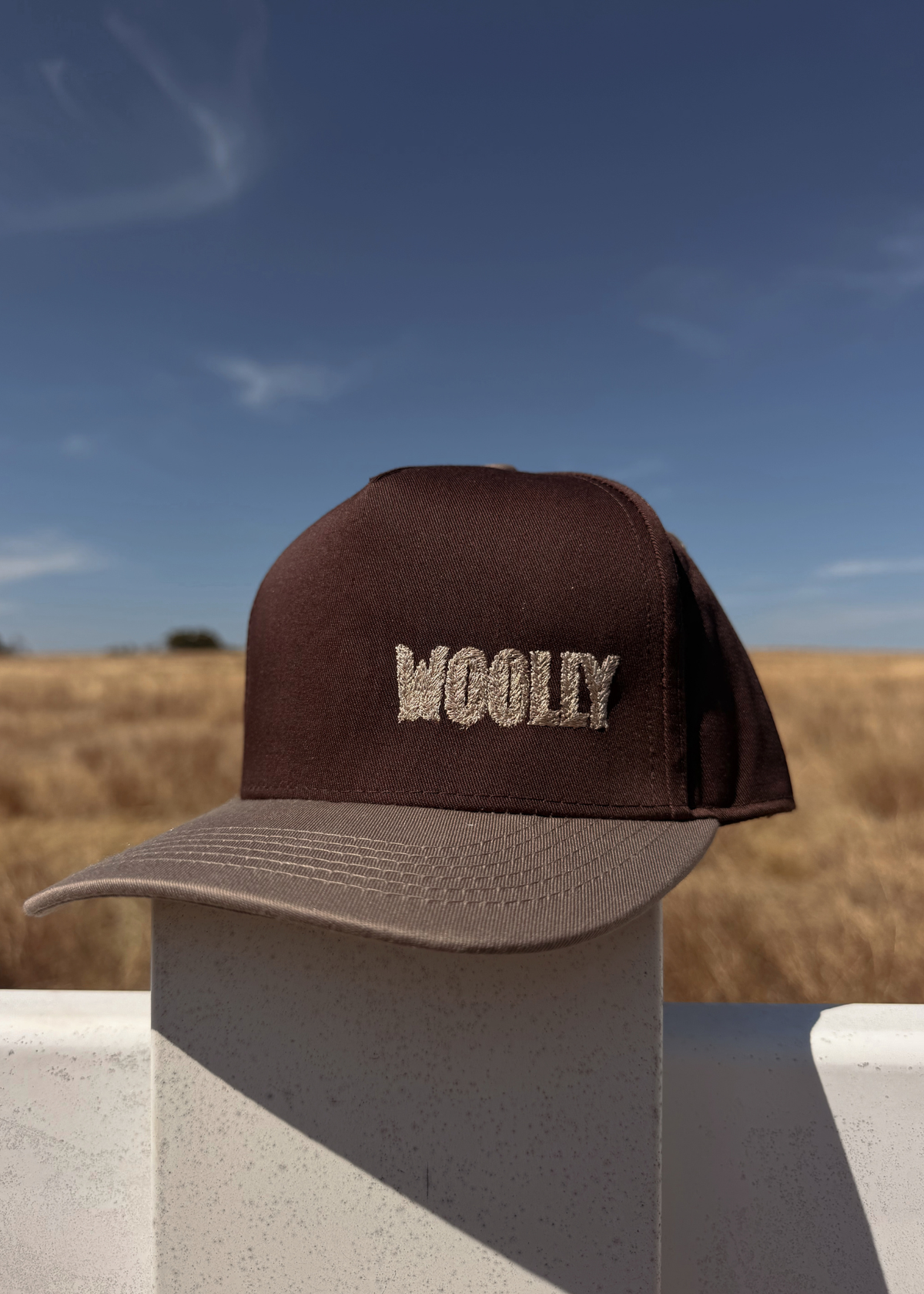 5-panel Embroidered Snapback