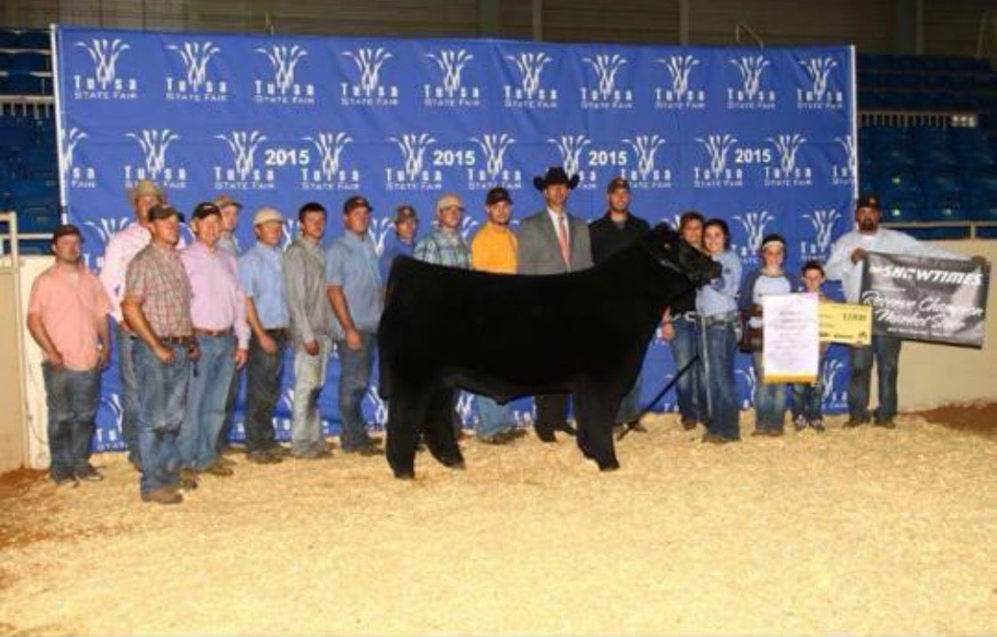 Champion Steer using All N Supplements