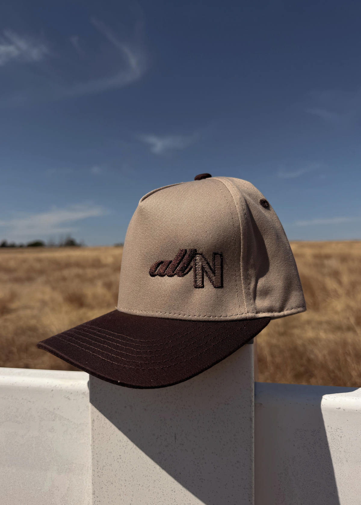 5-panel Embroidered Snapback
