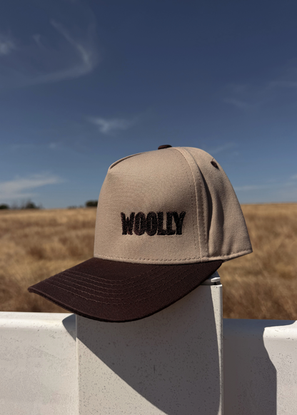5-panel Embroidered Snapback