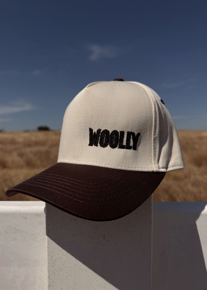 5-panel Embroidered Snapback